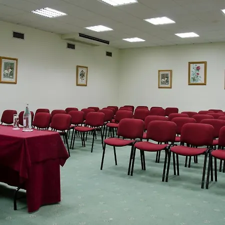 Vip Executive Diplomatico מלון