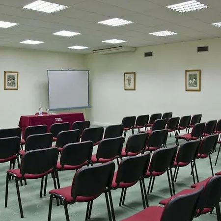 Vip Executive Diplomatico Hotell 4*